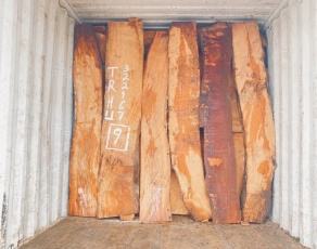 gỗ khối nhập khẩu