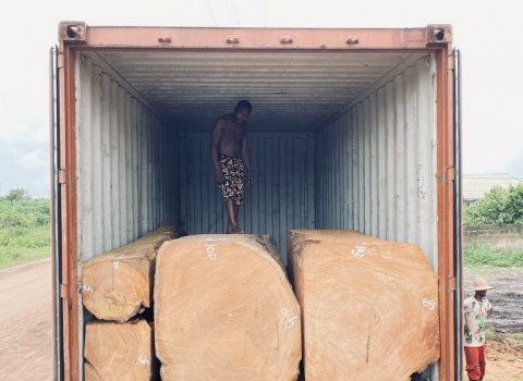 gỗ khối nhập khẩu 